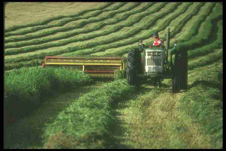 Spring - Corel Professional Photos ></a>
<script language=JavaScript> 
  var txt = 