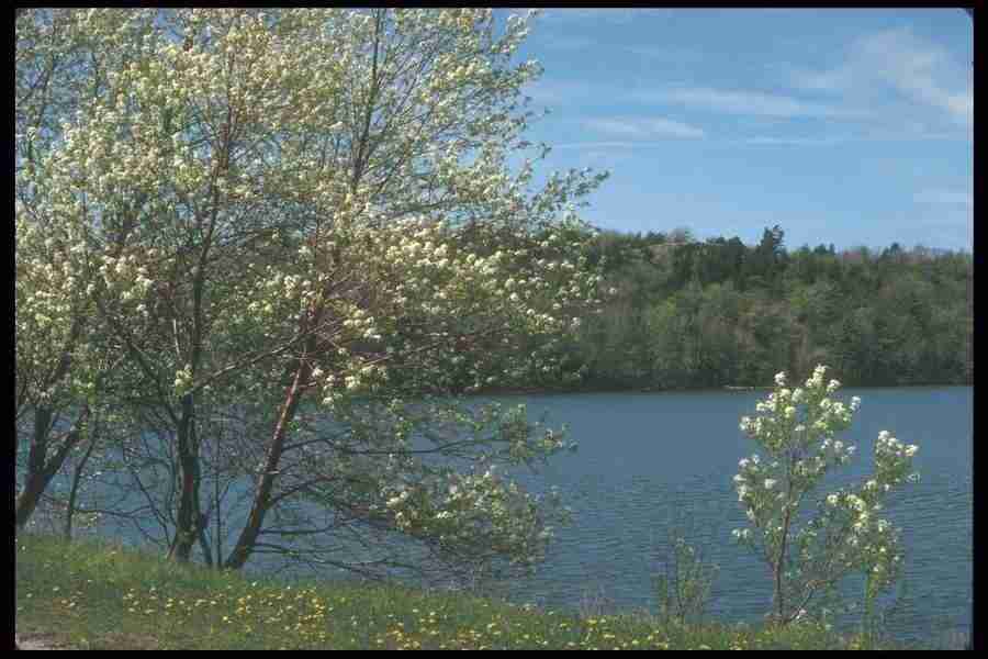 Spring - Corel Professional Photos ></a>
<script language=JavaScript> 
  var txt = 