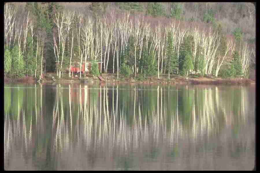 Spring - Corel Professional Photos ></a>
<script language=JavaScript> 
  var txt = 