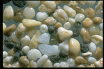 Corel Professional Photos: Sand Pebble Textures 