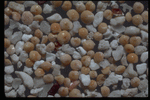 Corel Professional Photos: Sand Pebble Textures 