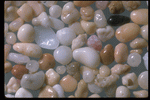 Corel Professional Photos: Sand Pebble Textures 