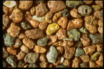 Corel Professional Photos: Sand Pebble Textures 