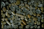 Corel Professional Photos: Sand Pebble Textures 