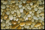 Corel Professional Photos: Sand Pebble Textures 