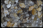 Corel Professional Photos: Sand Pebble Textures 