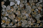 Corel Professional Photos: Sand Pebble Textures 