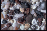 Corel Professional Photos: Sand Pebble Textures 