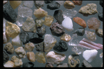 Corel Professional Photos: Sand Pebble Textures 