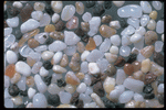 Corel Professional Photos: Sand Pebble Textures 