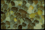 Corel Professional Photos: Sand Pebble Textures 