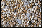 Corel Professional Photos: Sand Pebble Textures 