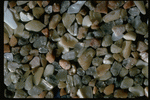 Corel Professional Photos: Sand Pebble Textures 