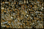 Corel Professional Photos: Sand Pebble Textures 