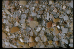 Corel Professional Photos: Sand Pebble Textures 