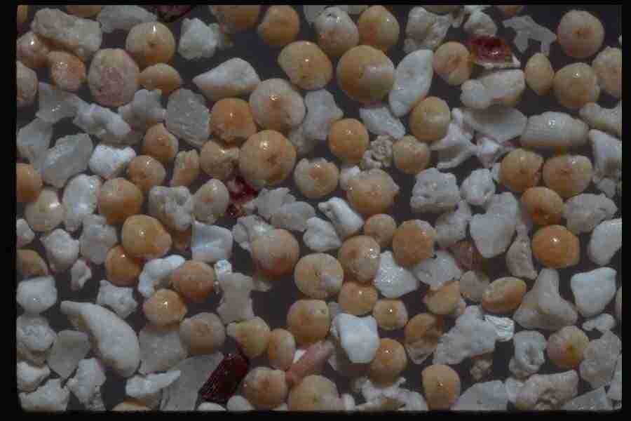 Sand Pebble Textures - Corel Professional Photos ></a>
<script language=JavaScript> 
  var txt = 