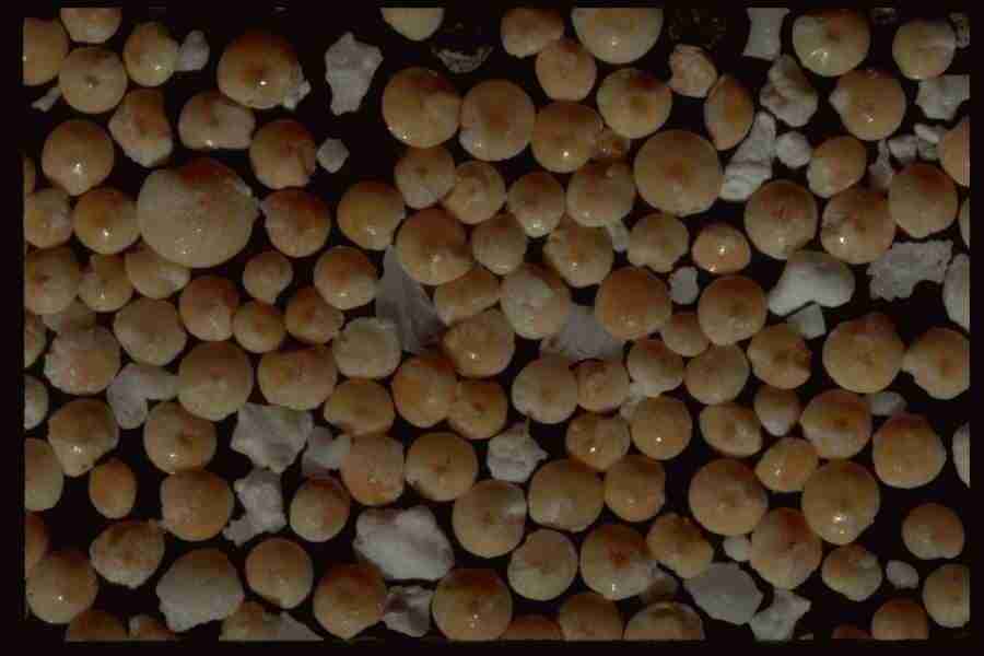 Sand Pebble Textures - Corel Professional Photos ></a>
<script language=JavaScript> 
  var txt = 