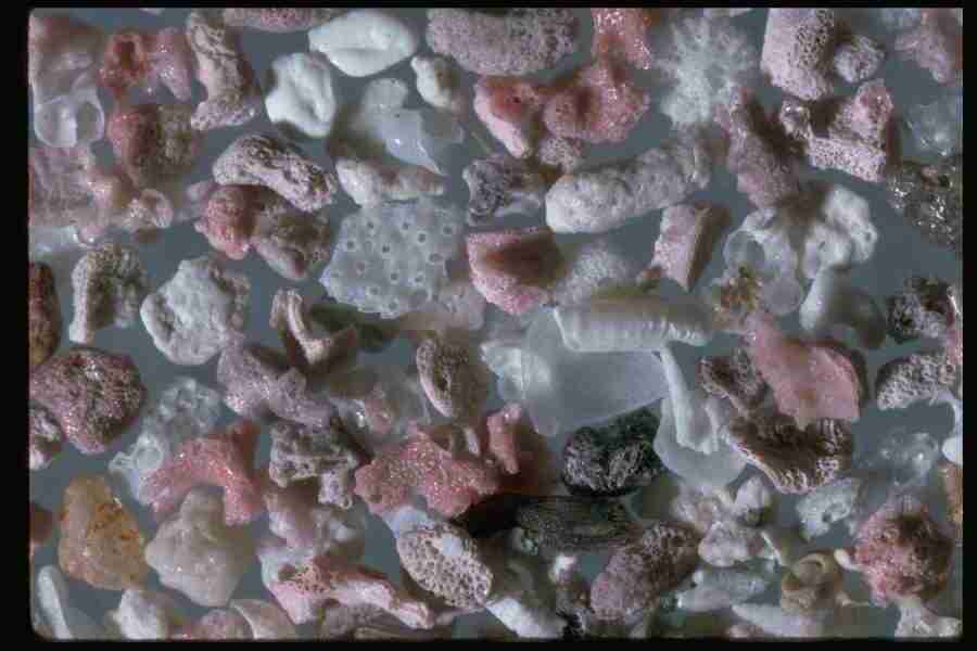 Sand Pebble Textures - Corel Professional Photos ></a>
<script language=JavaScript> 
  var txt = 