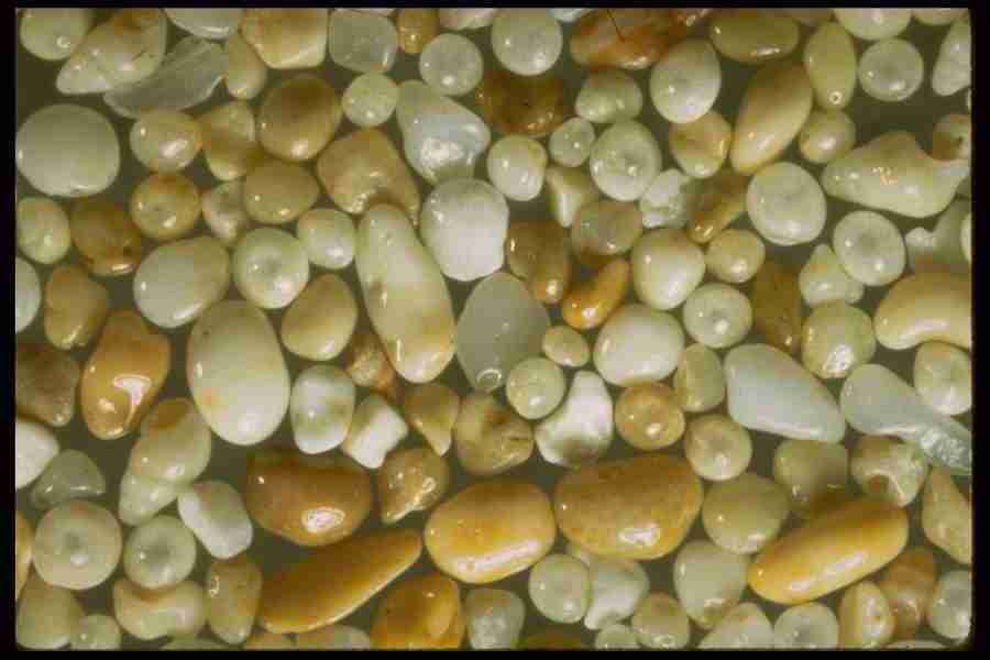 Sand Pebble Textures - Corel Professional Photos ></a>
<script language=JavaScript> 
  var txt = 