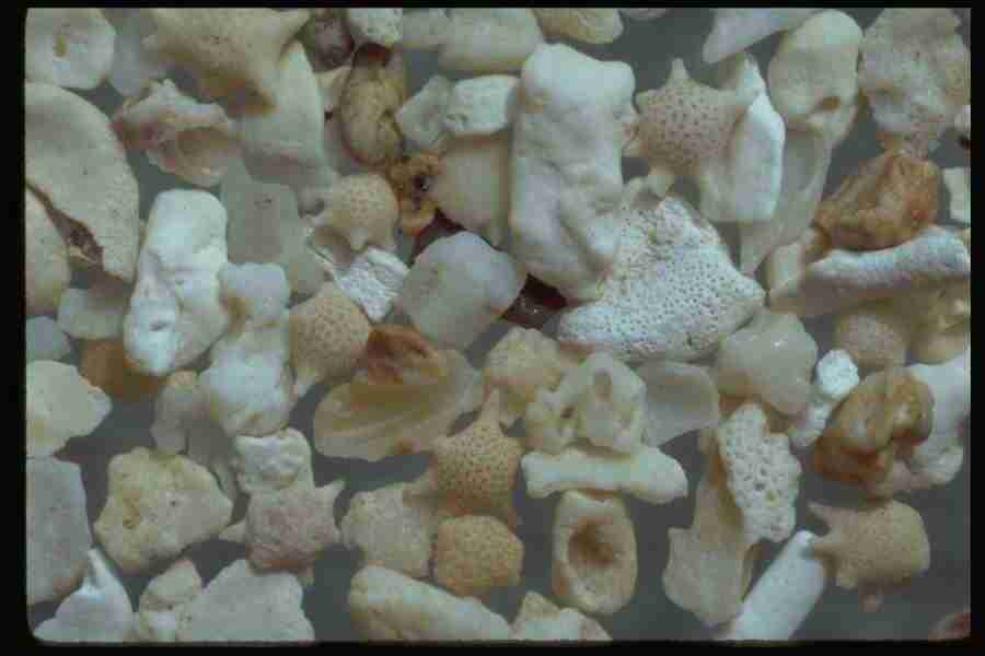 Sand Pebble Textures - Corel Professional Photos ></a>
<script language=JavaScript> 
  var txt = 