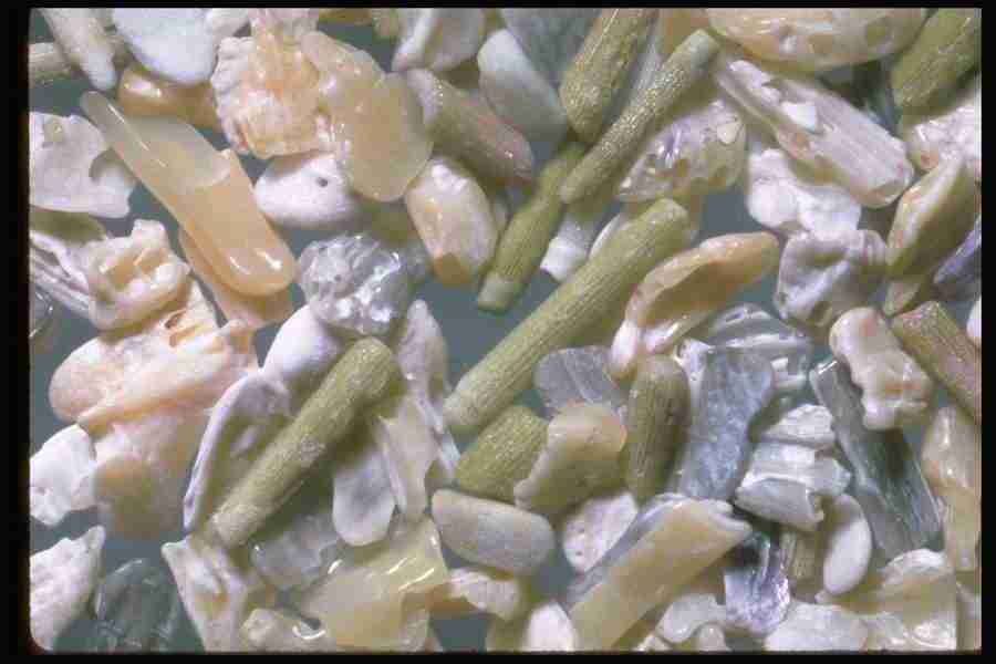 Sand Pebble Textures - Corel Professional Photos ></a>
<script language=JavaScript> 
  var txt = 