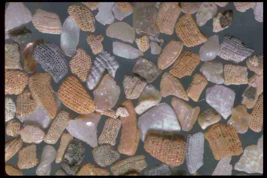 Sand Pebble Textures - Corel Professional Photos ></a>
<script language=JavaScript> 
  var txt = 