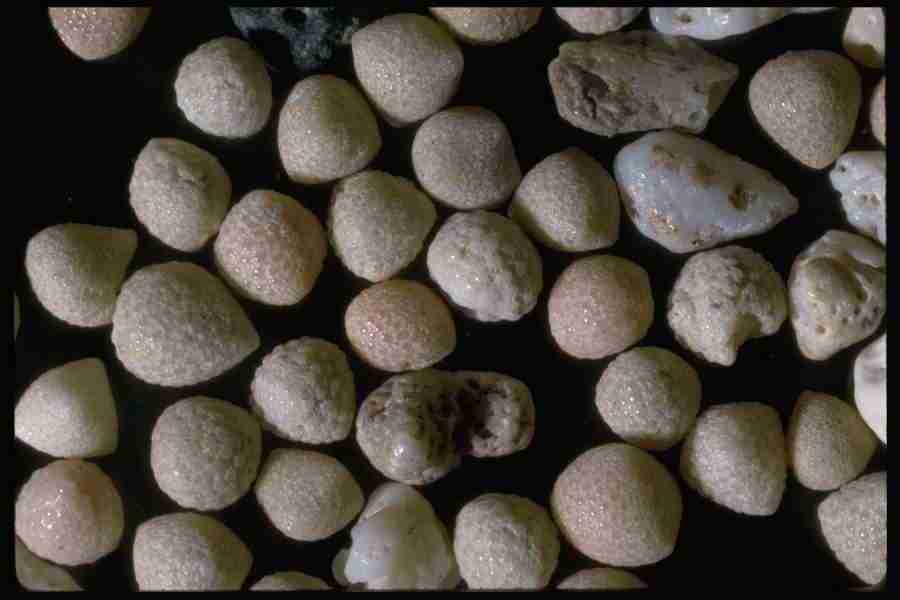 Sand Pebble Textures - Corel Professional Photos ></a>
<script language=JavaScript> 
  var txt = 
