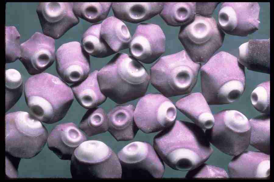 Sand Pebble Textures - Corel Professional Photos ></a>
<script language=JavaScript> 
  var txt = 