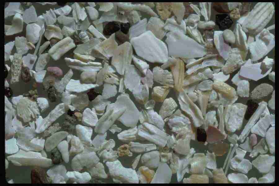 Sand Pebble Textures - Corel Professional Photos ></a>
<script language=JavaScript> 
  var txt = 