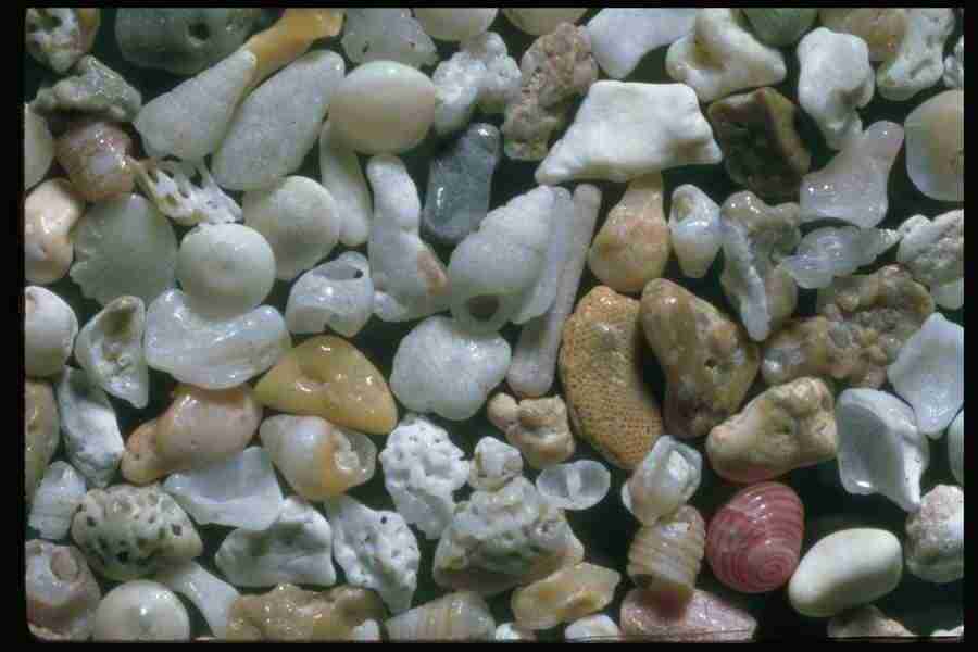 Sand Pebble Textures - Corel Professional Photos ></a>
<script language=JavaScript> 
  var txt = 