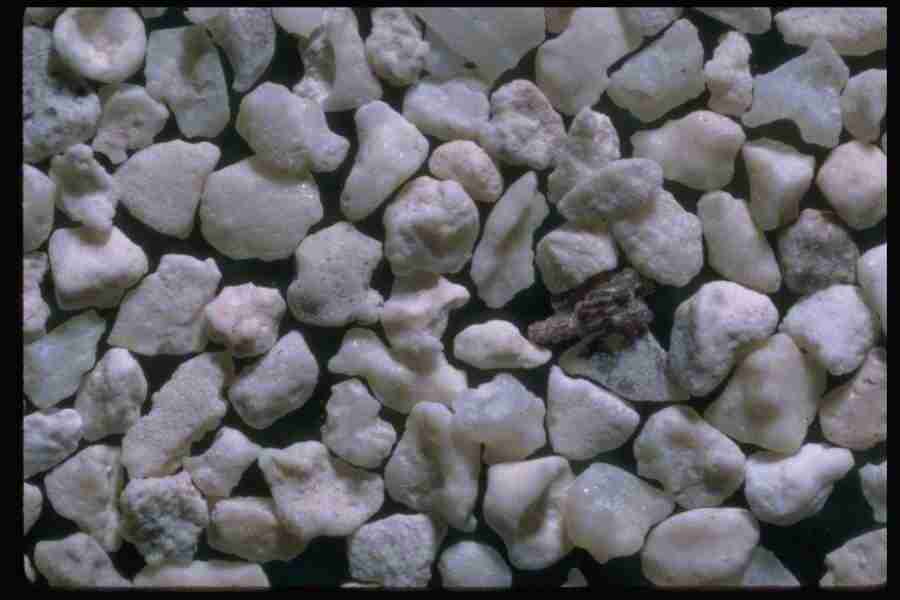 Sand Pebble Textures - Corel Professional Photos ></a>
<script language=JavaScript> 
  var txt = 