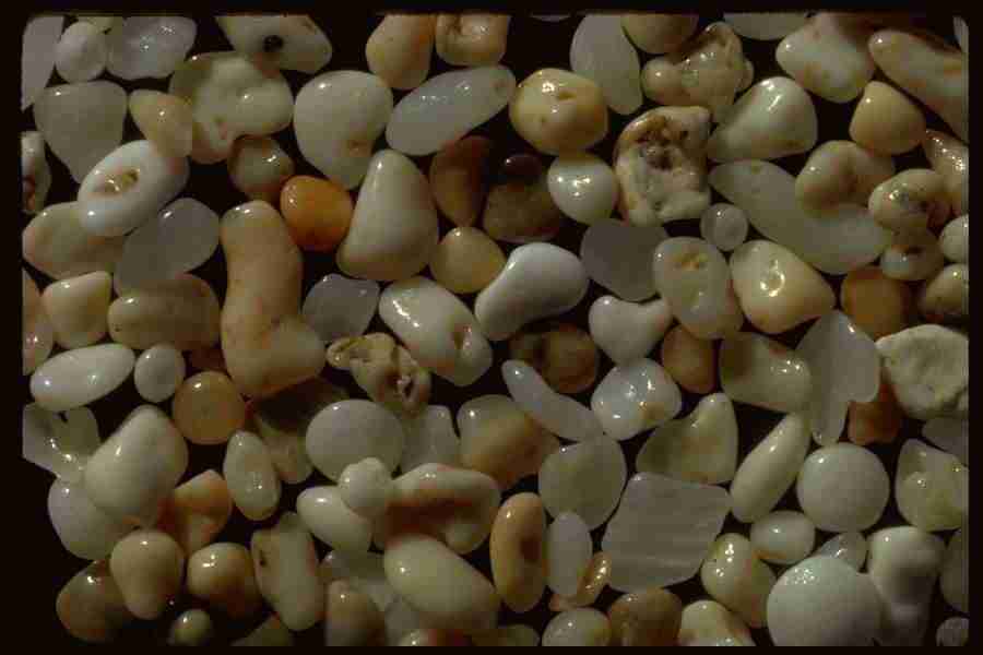 Sand Pebble Textures - Corel Professional Photos ></a>
<script language=JavaScript> 
  var txt = 