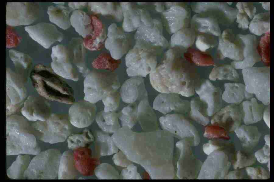 Sand Pebble Textures - Corel Professional Photos ></a>
<script language=JavaScript> 
  var txt = 