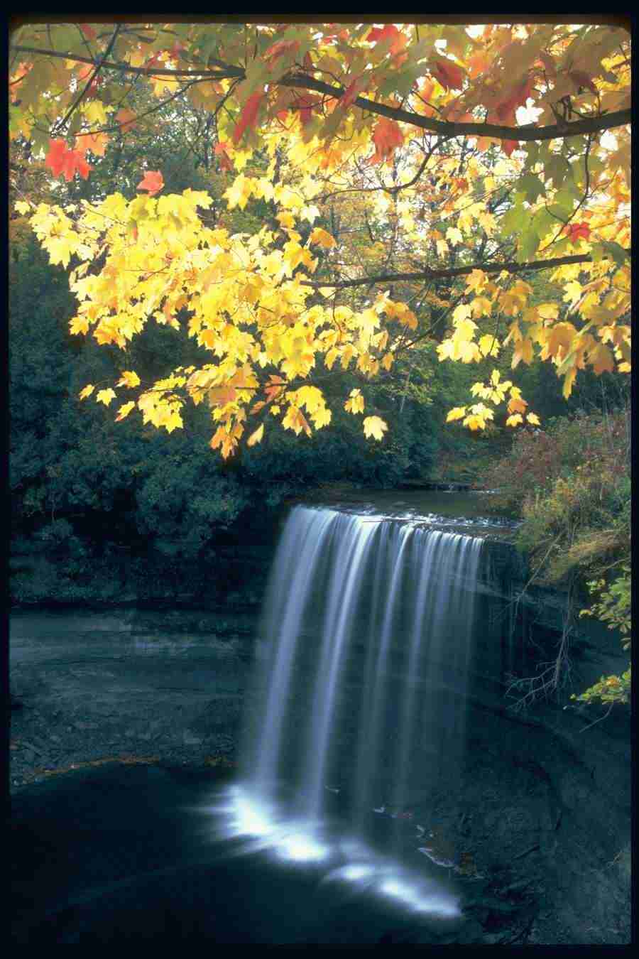 Spectacular Waterfalls - Corel Professional Photos ></a>
<script language=JavaScript> 
  var txt = 