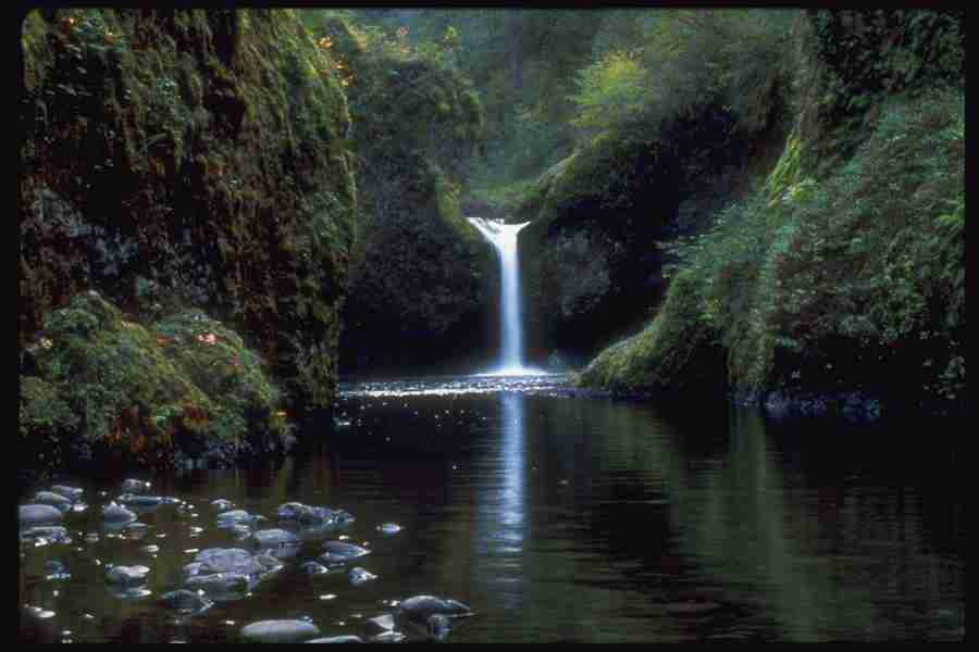 Spectacular Waterfalls - Corel Professional Photos ></a>
<script language=JavaScript> 
  var txt = 