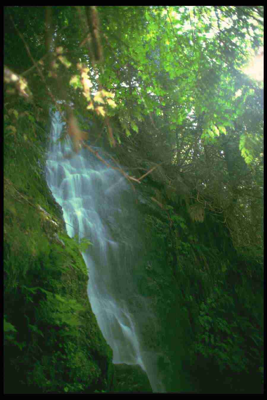 Spectacular Waterfalls - Corel Professional Photos ></a>
<script language=JavaScript> 
  var txt = 