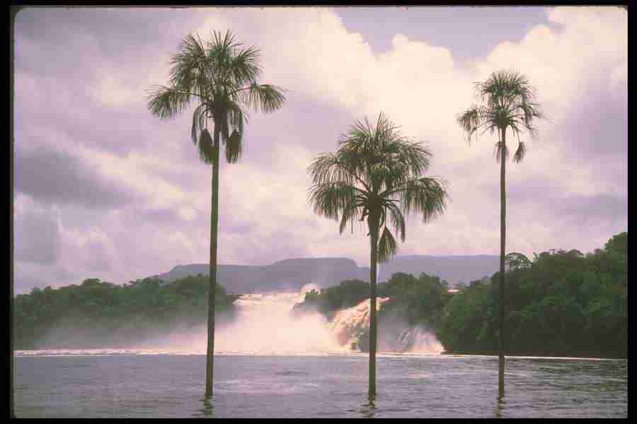 Spectacular Waterfalls - Corel Professional Photos ></a>
<script language=JavaScript> 
  var txt = 