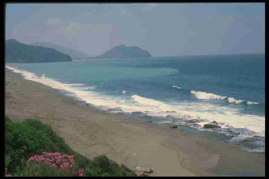 Turkey 2 - Corel Professional Photos ></a>
<script language=JavaScript> 
  var txt = 