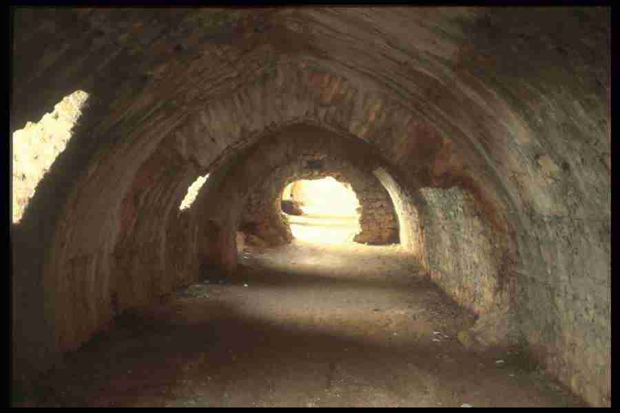 Turkey 2 - Corel Professional Photos ></a>
<script language=JavaScript> 
  var txt = 