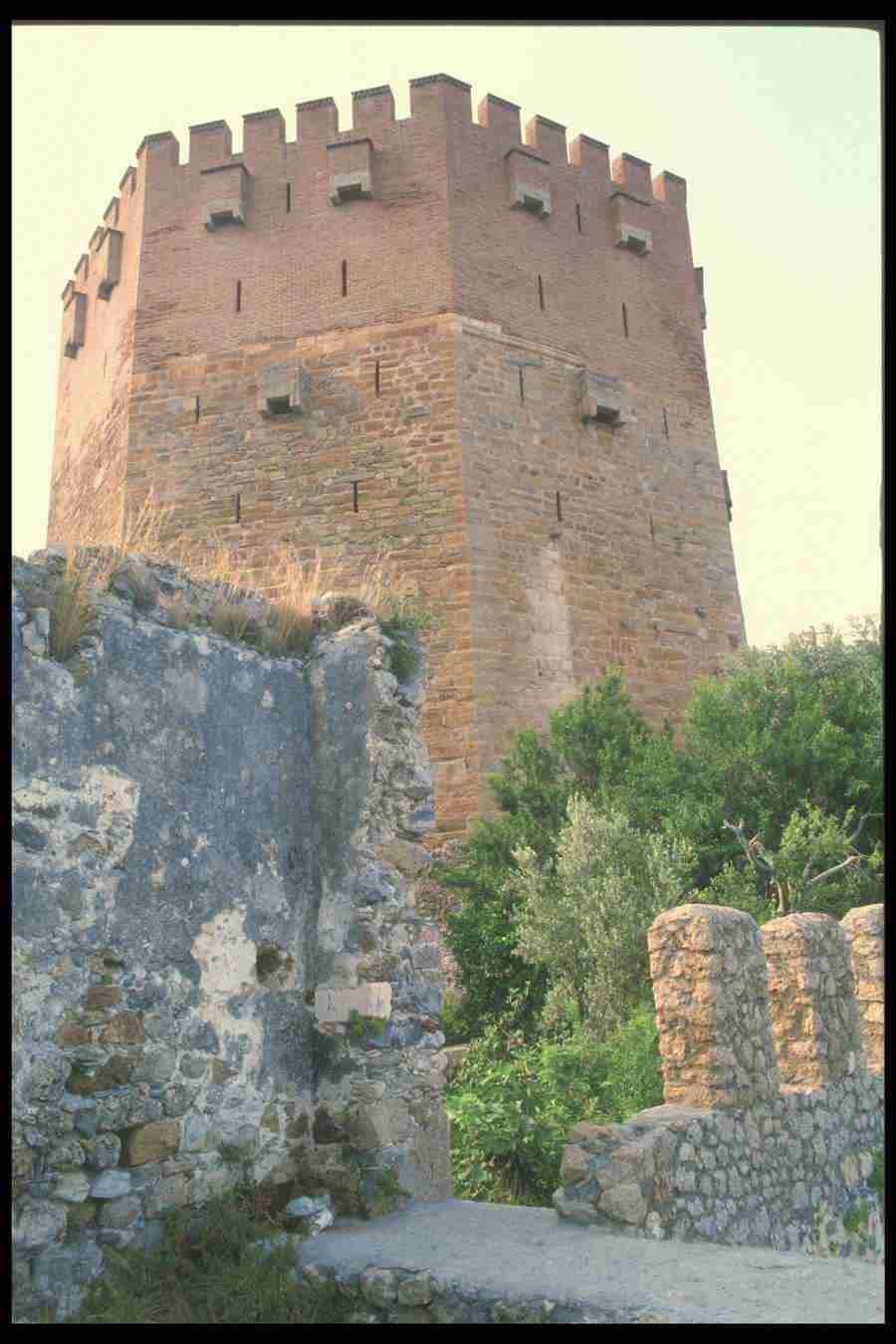 Turkey 2 - Corel Professional Photos ></a>
<script language=JavaScript> 
  var txt = 