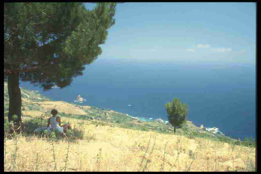 Turkey 2 - Corel Professional Photos ></a>
<script language=JavaScript> 
  var txt = 