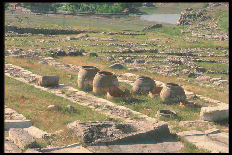 Turkey 2 - Corel Professional Photos ></a>
<script language=JavaScript> 
  var txt = 