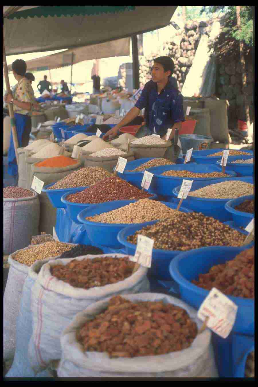 Turkey 2 - Corel Professional Photos ></a>
<script language=JavaScript> 
  var txt = 