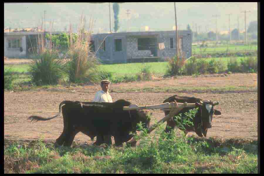 Turkey 2 - Corel Professional Photos ></a>
<script language=JavaScript> 
  var txt = 