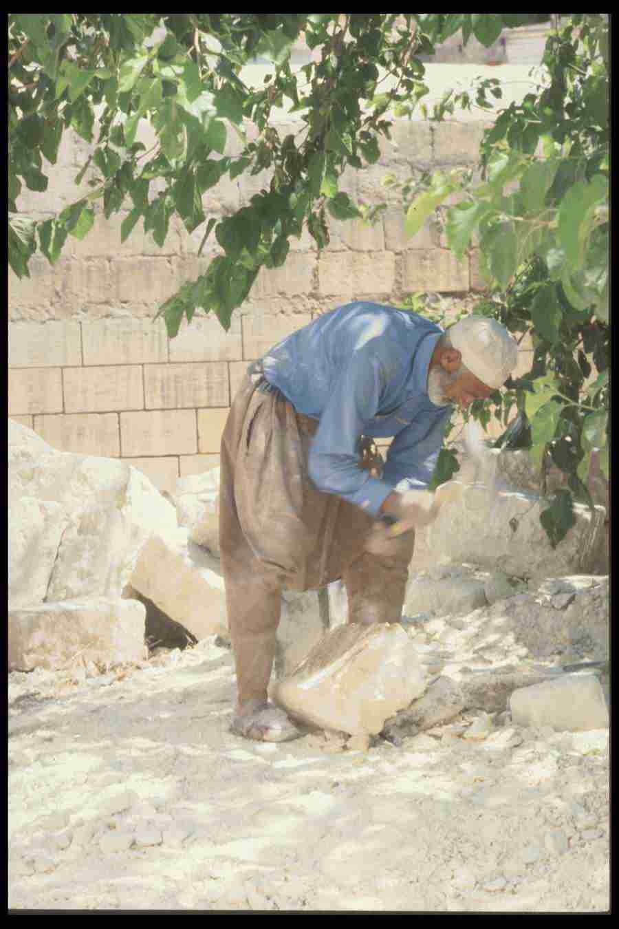 Turkey 2 - Corel Professional Photos ></a>
<script language=JavaScript> 
  var txt = 