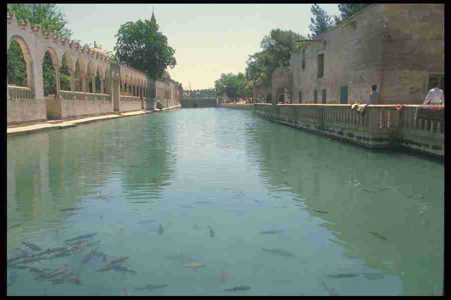 Turkey 2 - Corel Professional Photos ></a>
<script language=JavaScript> 
  var txt = 