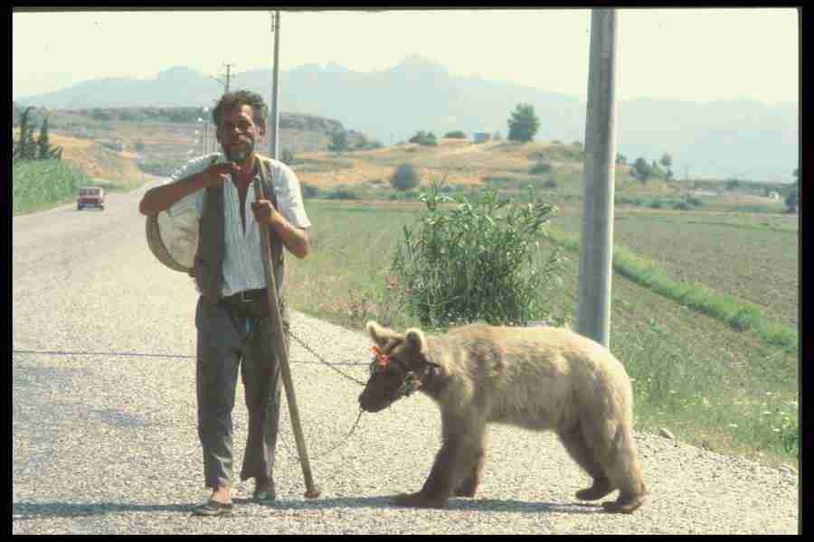 Turkey 2 - Corel Professional Photos ></a>
<script language=JavaScript> 
  var txt = 