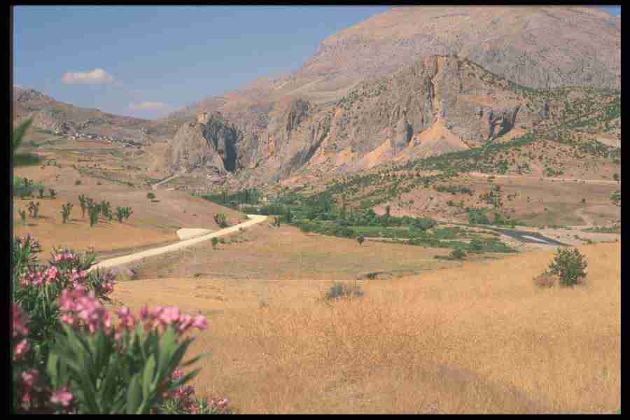 Turkey 2 - Corel Professional Photos ></a>
<script language=JavaScript> 
  var txt = 