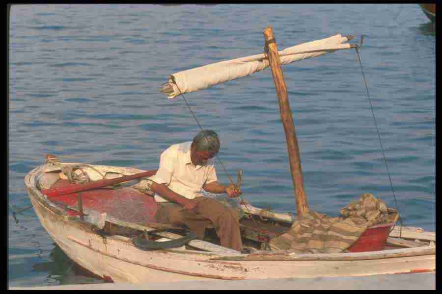 Turkey 2 - Corel Professional Photos ></a>
<script language=JavaScript> 
  var txt = 