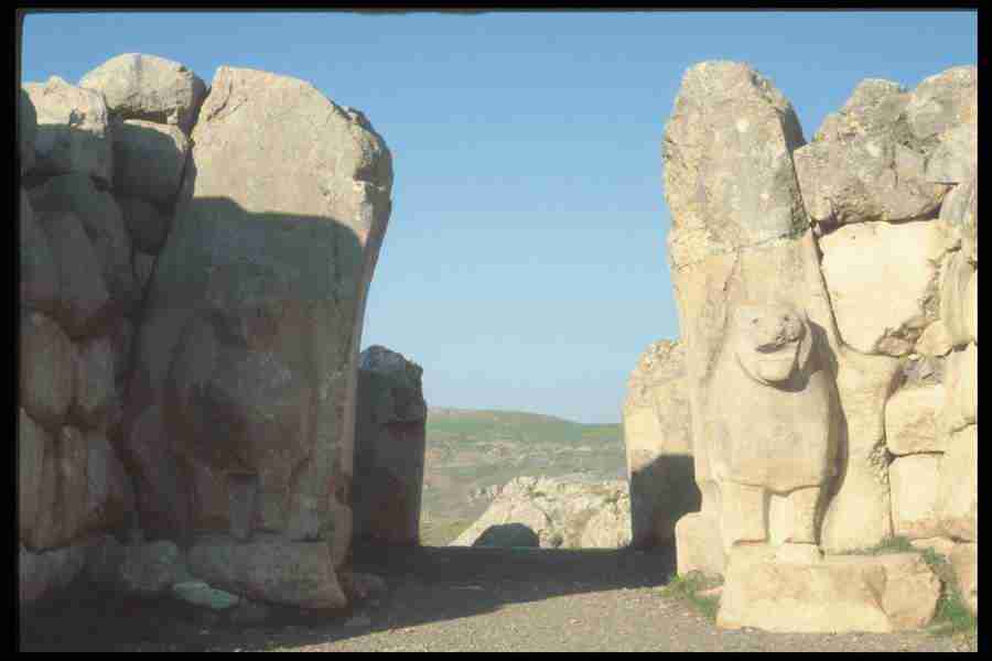 Turkey 2 - Corel Professional Photos ></a>
<script language=JavaScript> 
  var txt = 